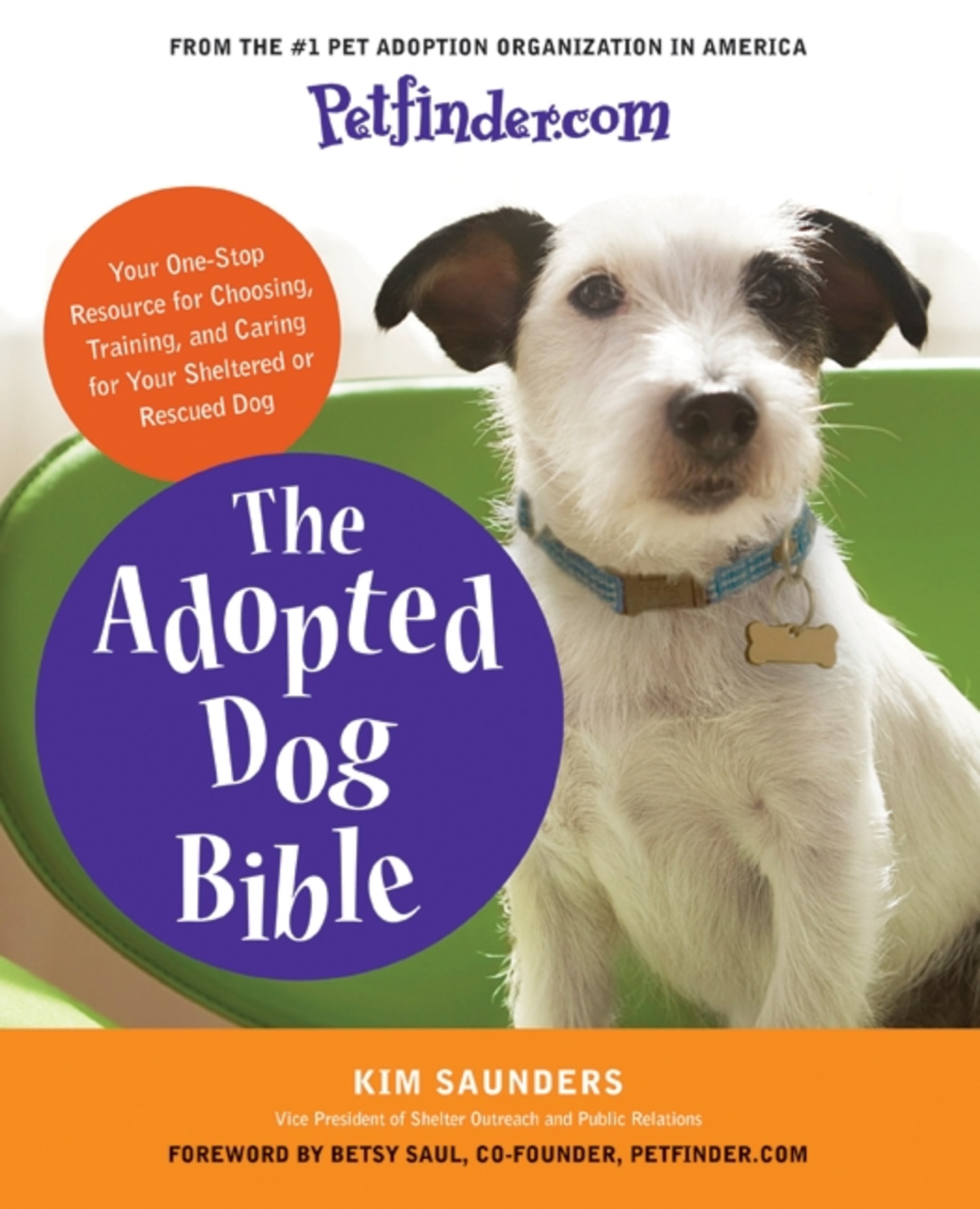Adopting a shop dog 101